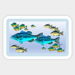 Freshwater fish Sticker